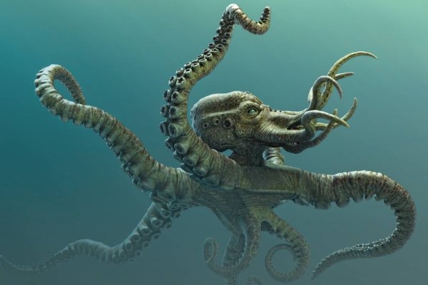 Http kraken 2kr
