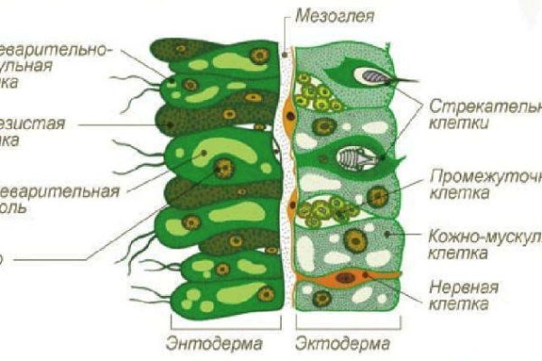 Kraken 12at зеркало